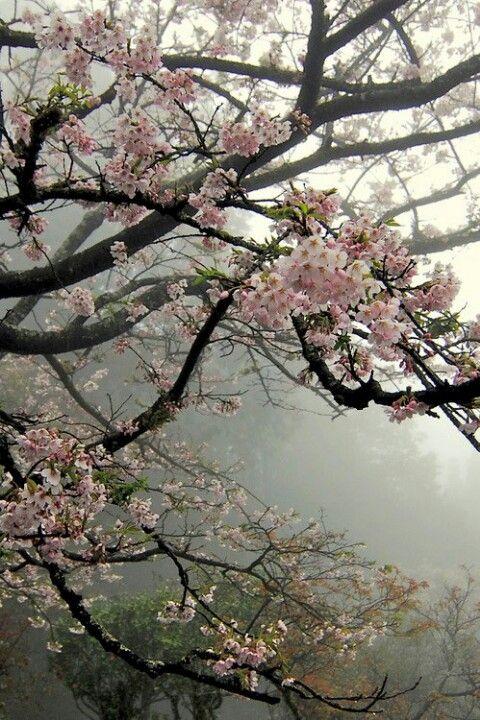 Twilight Elegance Floral Embrace