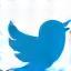 Twitter/X social icon